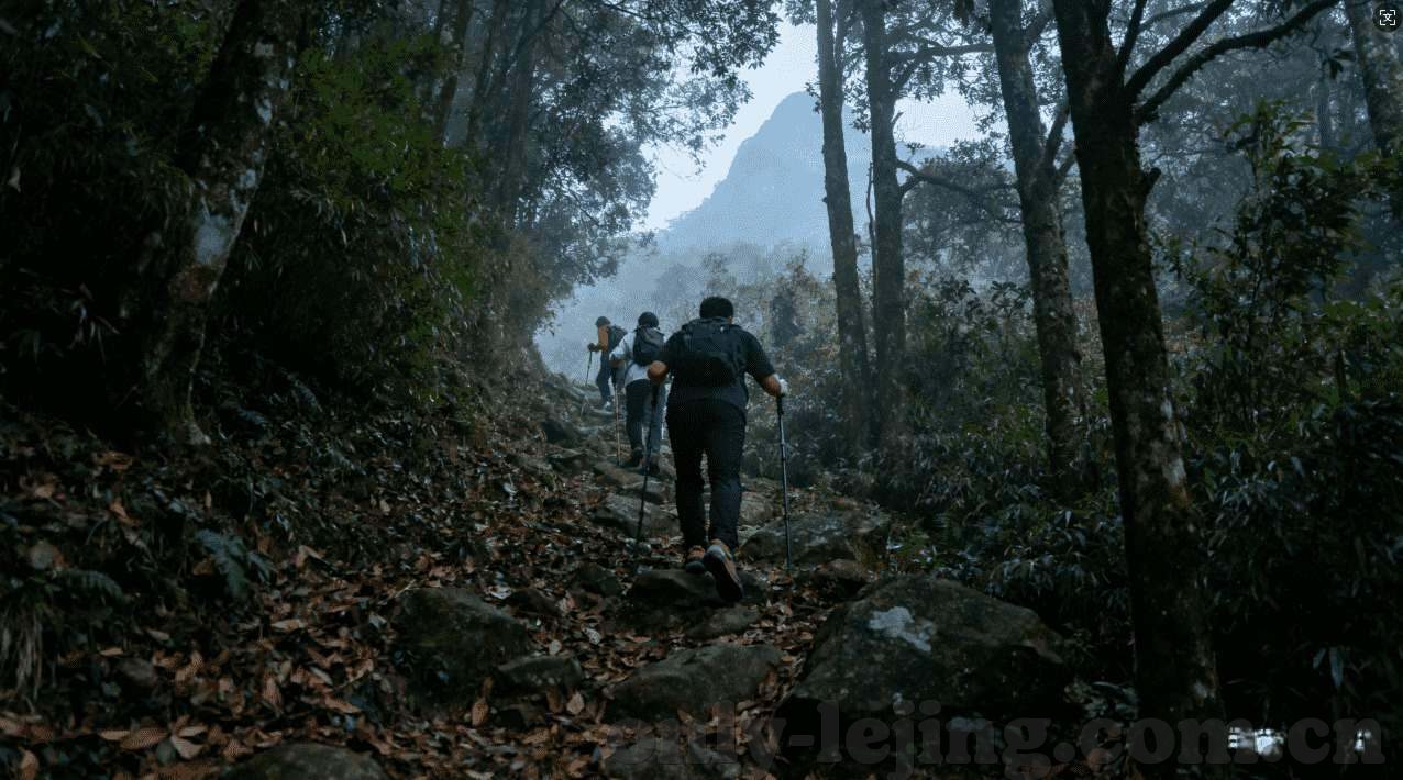 世界杯彩票胜负-世界杯彩票胜负，一场激情与策略的碰撞